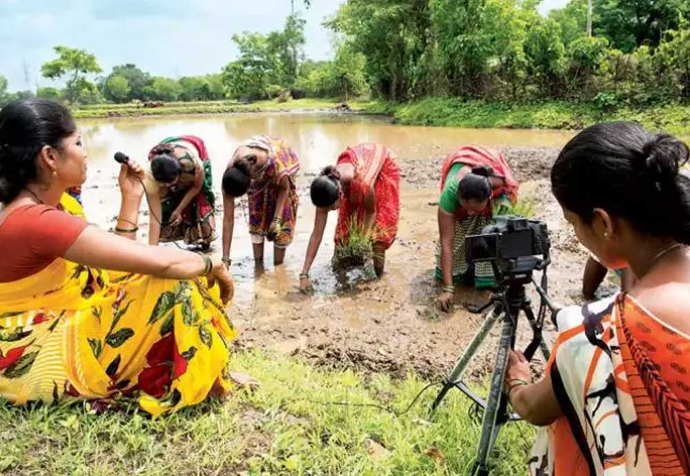 Skills for Agriculture Education and Training